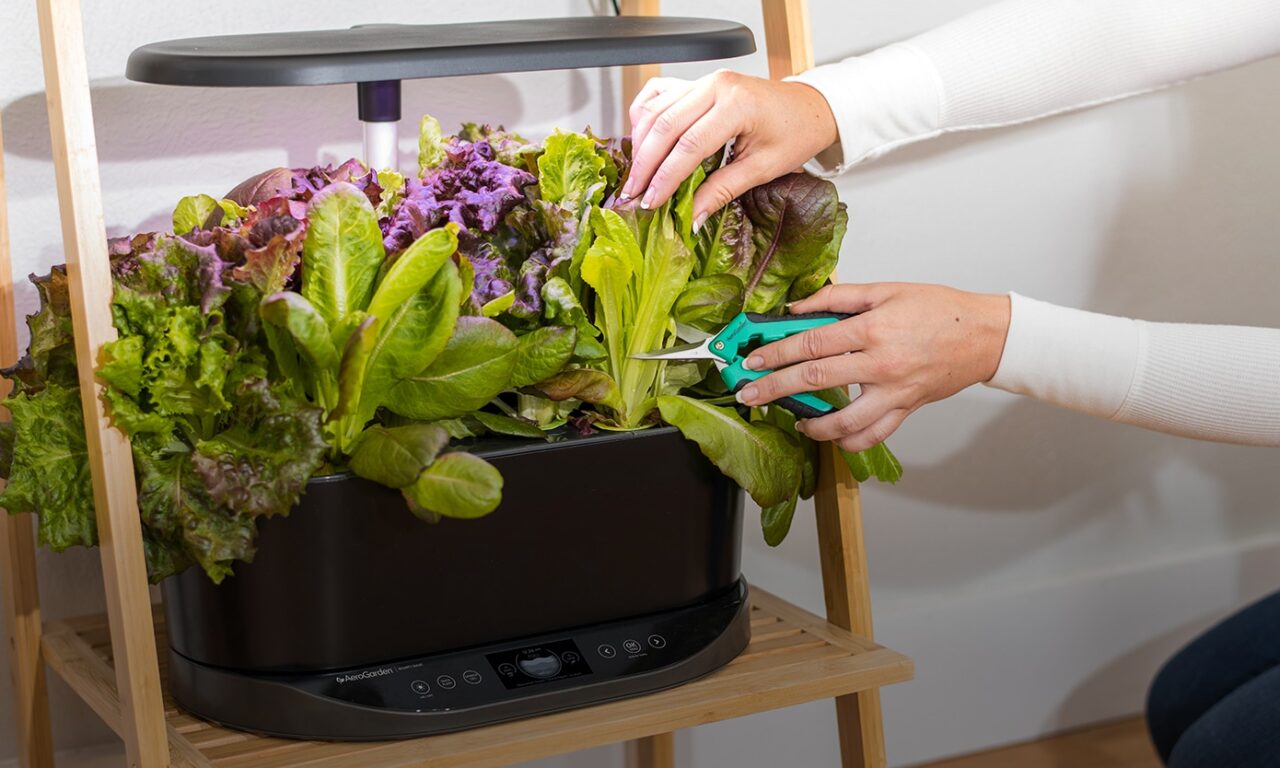 Research paper on my Aerogarden app